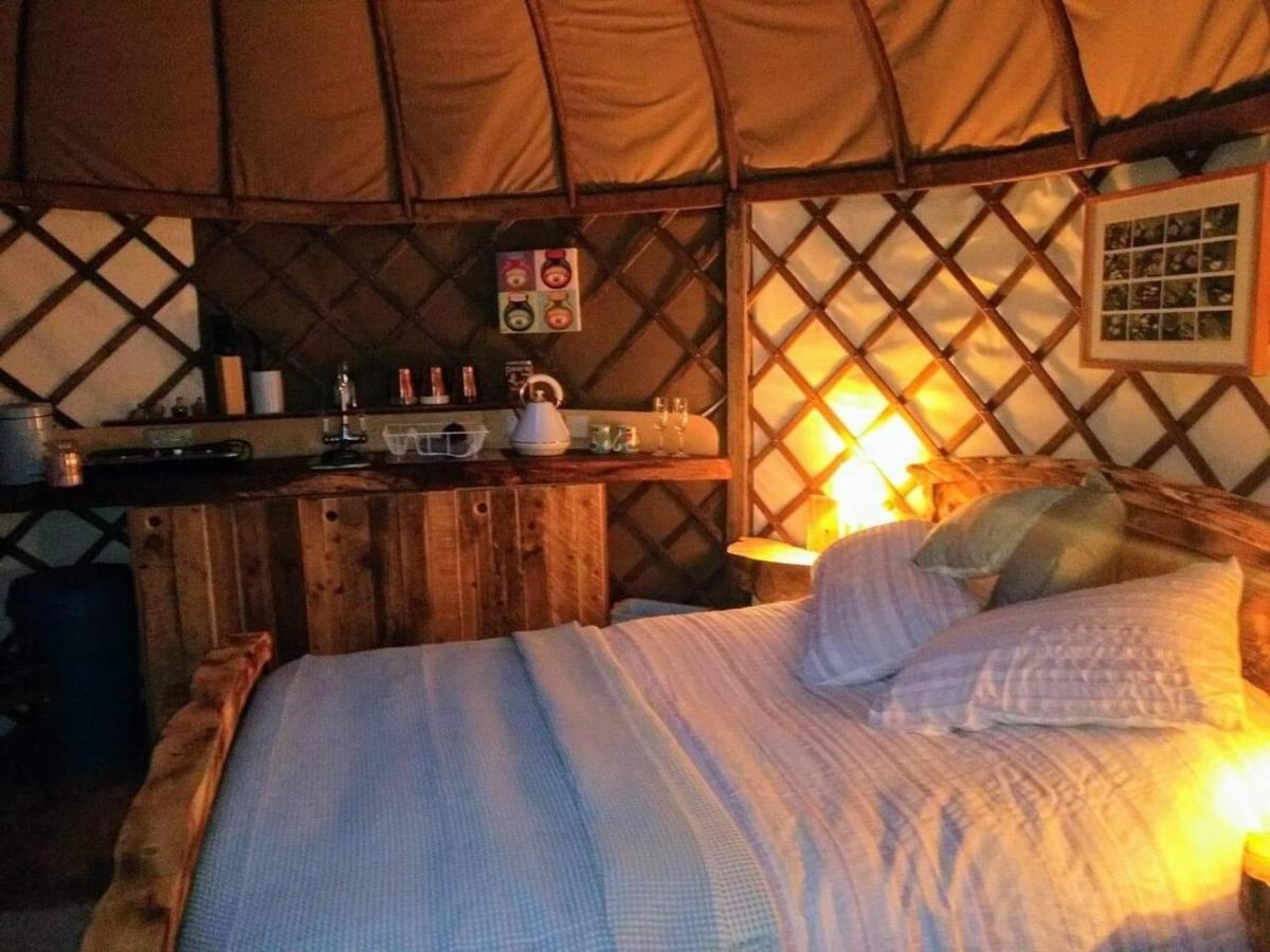 Bembridge Harbour Yurt - Log Burner - Wifi Exterior foto